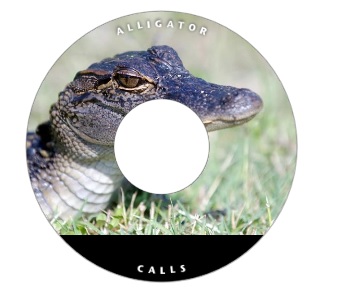 baby alligator call