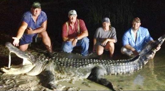 Gator Hunting Pictures