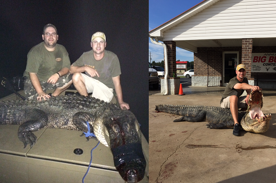 Gator Hunting Pictures