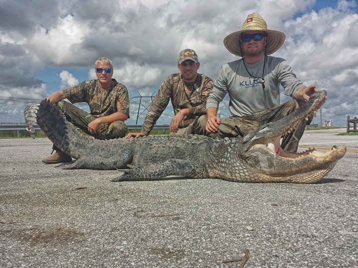 Florida alligator hunt not at all like 'Swamp People,' Grand Forks